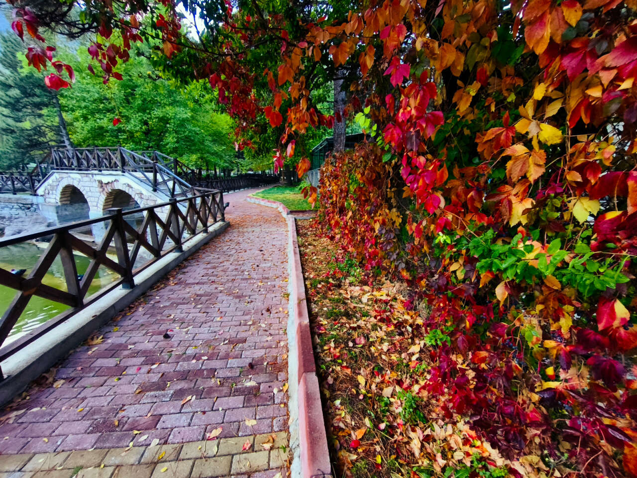 Konya’nın cennet köşesi sonbahar renkleriyle büyülüyor 6
